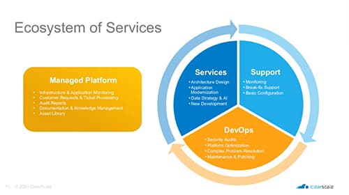 webinar screenshoot